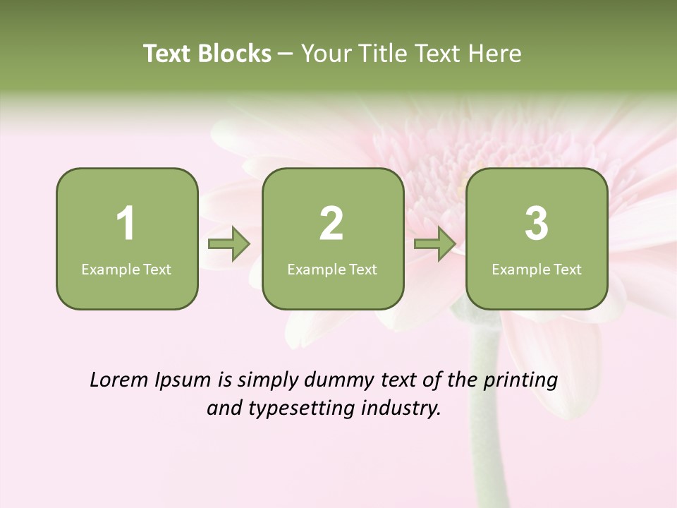 Flower Petals Isolated PowerPoint Template