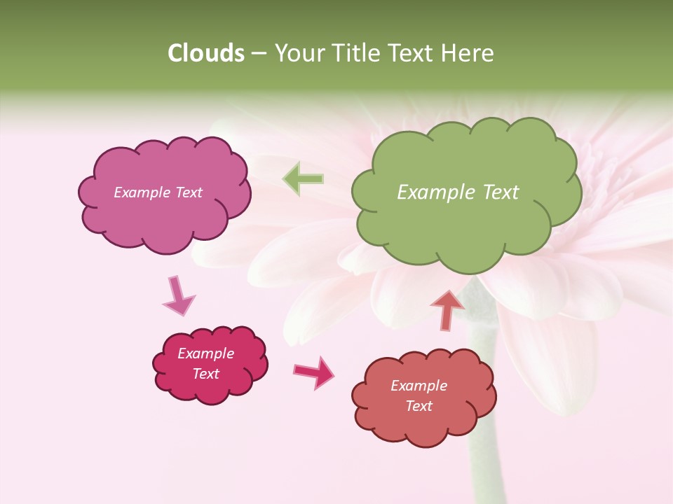 Flower Petals Isolated PowerPoint Template