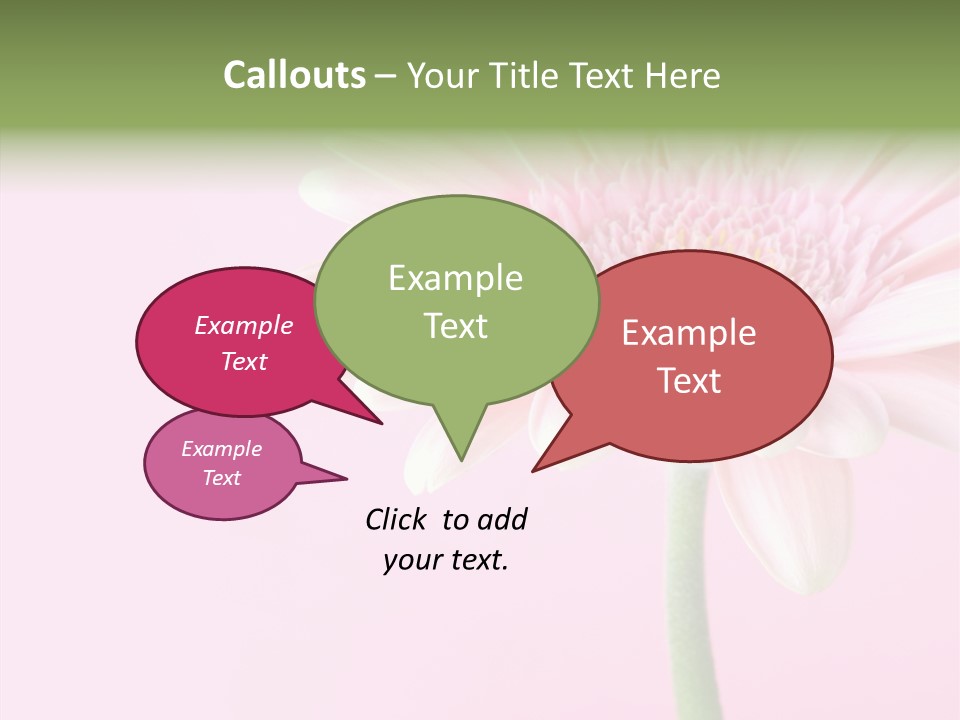 Flower Petals Isolated PowerPoint Template