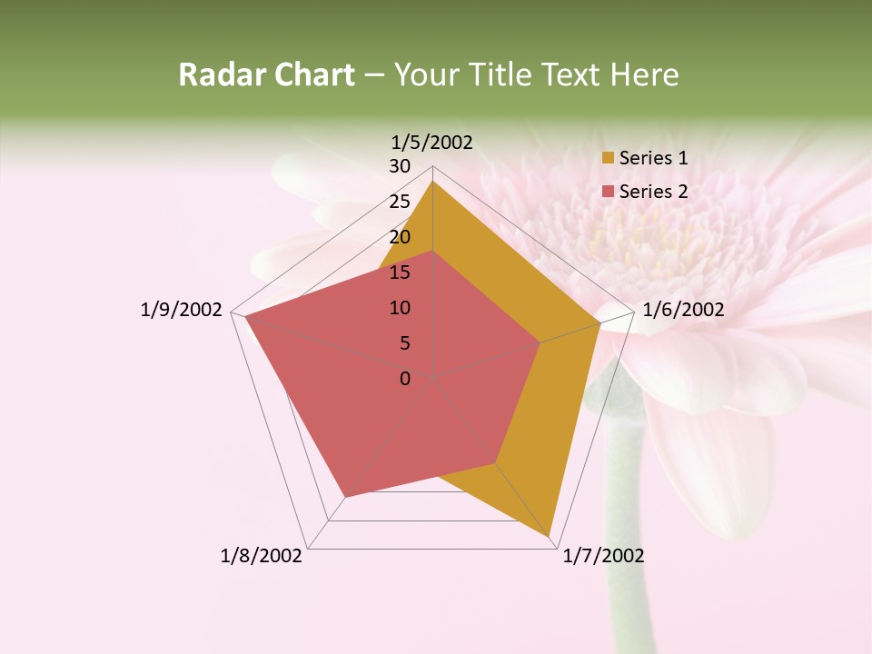 Flower Petals Isolated PowerPoint Template