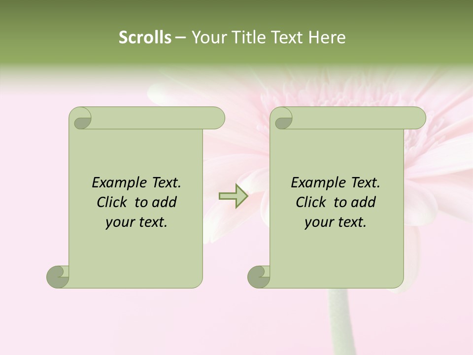 Flower Petals Isolated PowerPoint Template