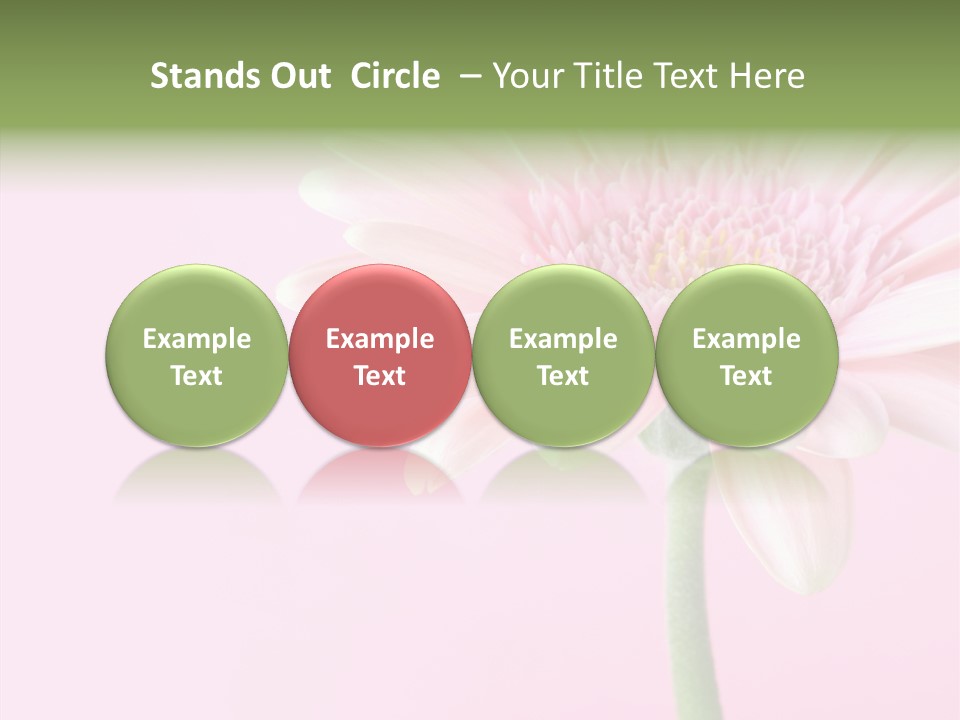 Flower Petals Isolated PowerPoint Template