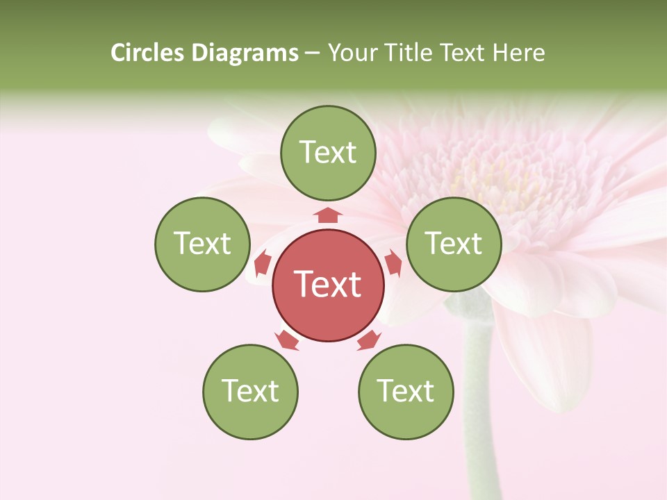 Flower Petals Isolated PowerPoint Template