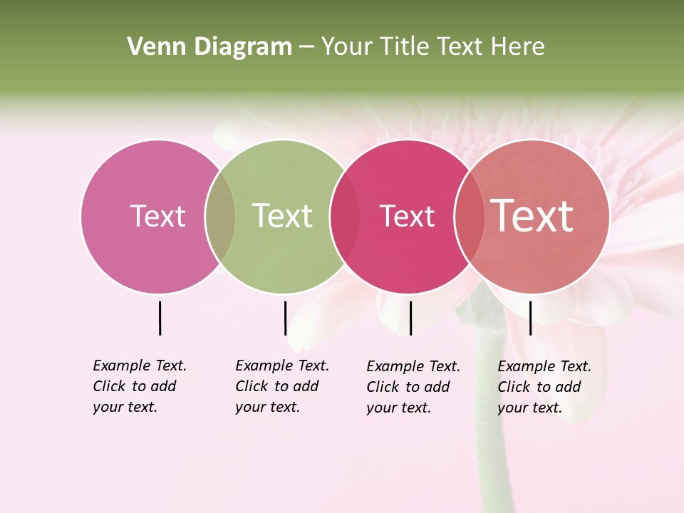 Flower Petals Isolated PowerPoint Template