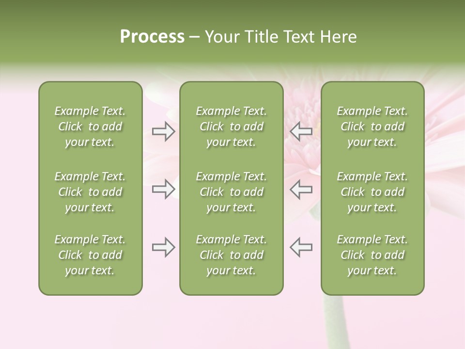 Flower Petals Isolated PowerPoint Template