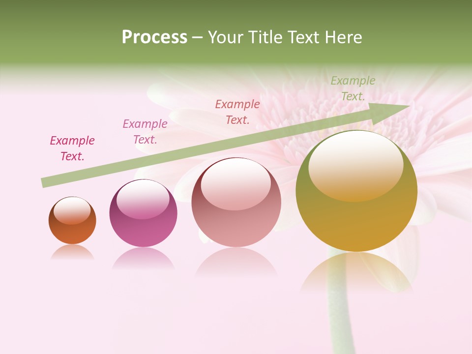 Flower Petals Isolated PowerPoint Template