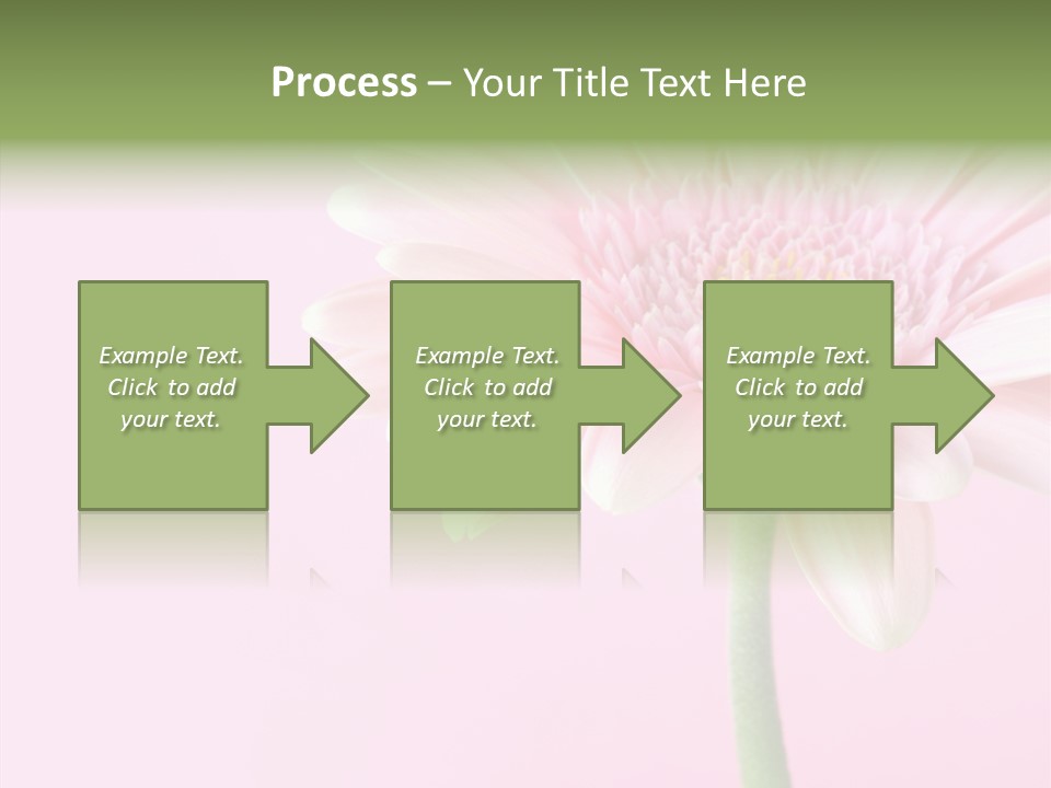 Flower Petals Isolated PowerPoint Template