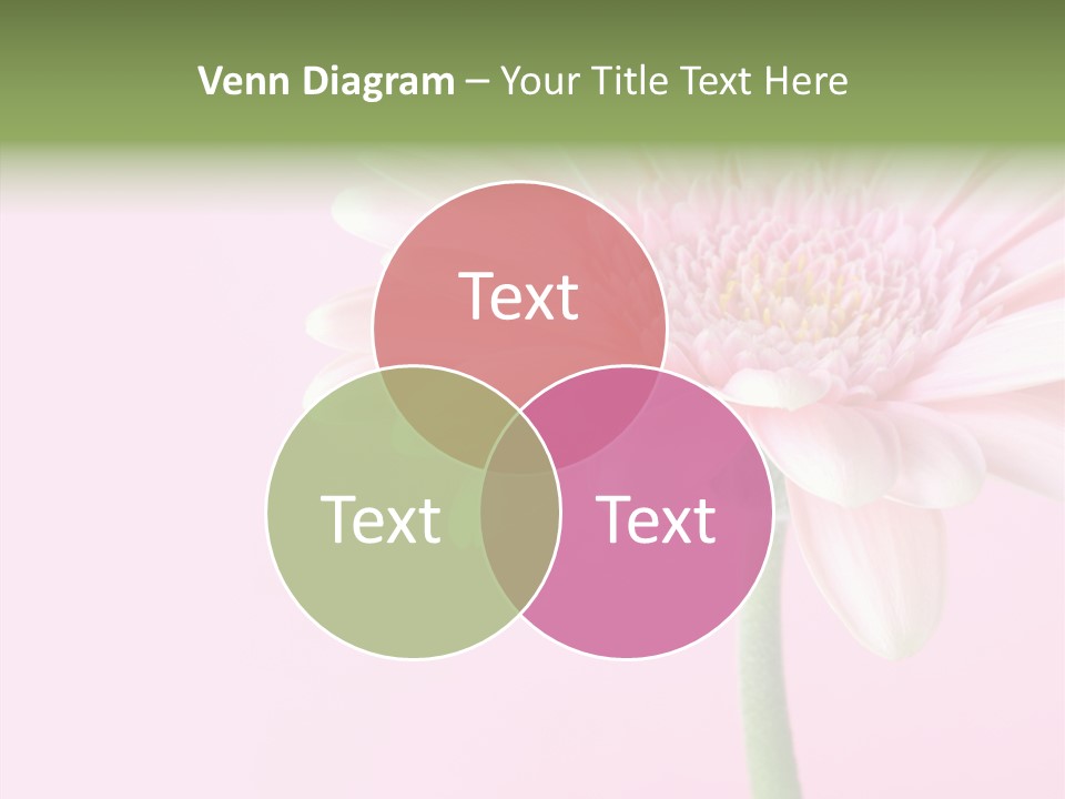 Flower Petals Isolated PowerPoint Template