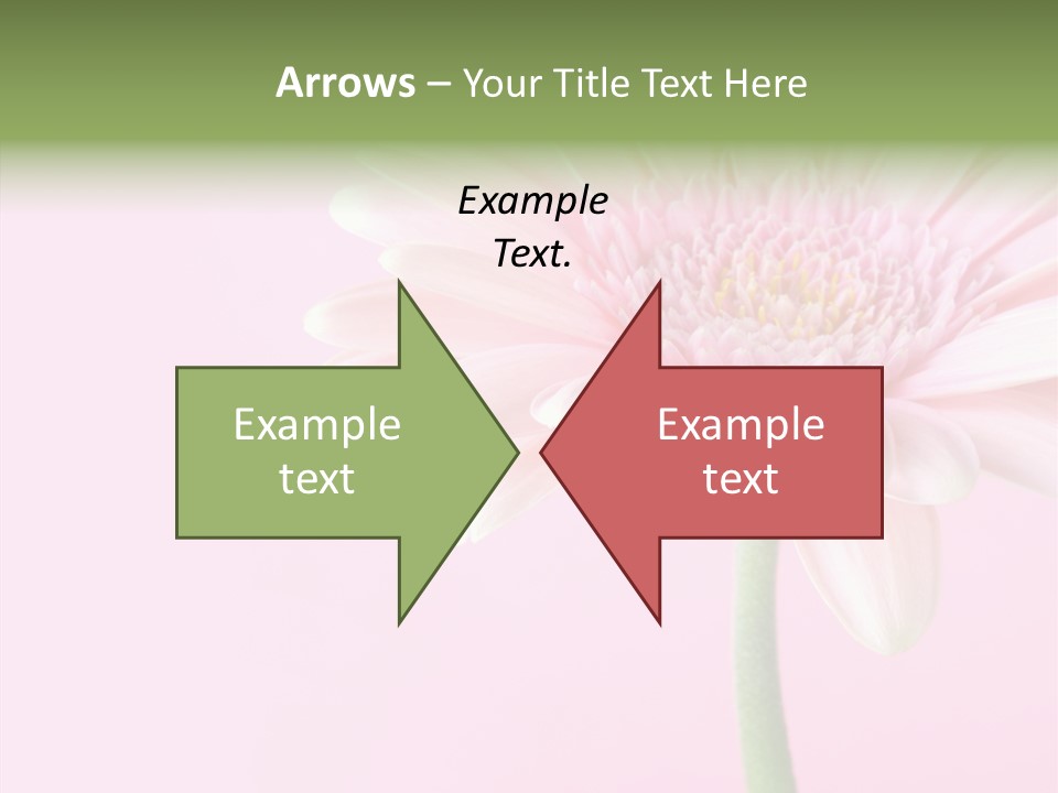 Flower Petals Isolated PowerPoint Template