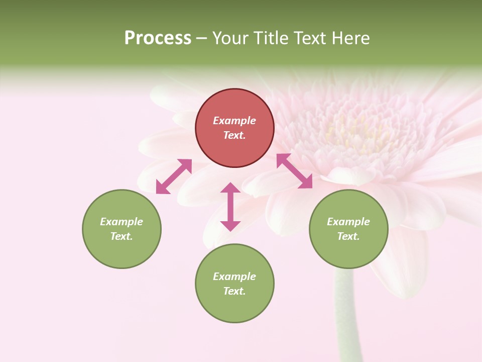 Flower Petals Isolated PowerPoint Template