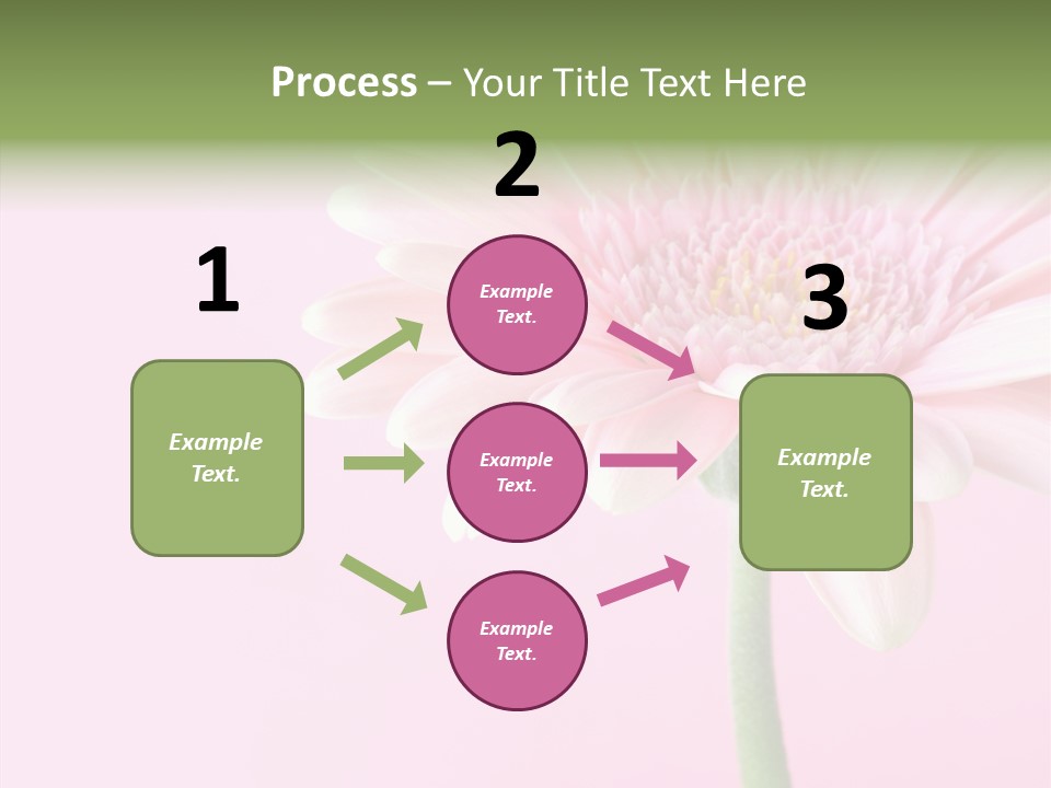 Flower Petals Isolated PowerPoint Template