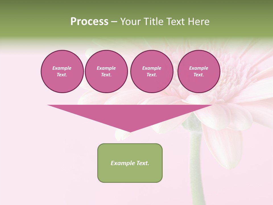 Flower Petals Isolated PowerPoint Template