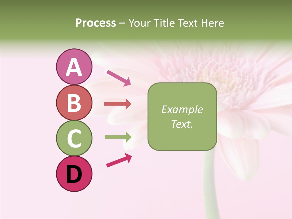 Flower Petals Isolated PowerPoint Template