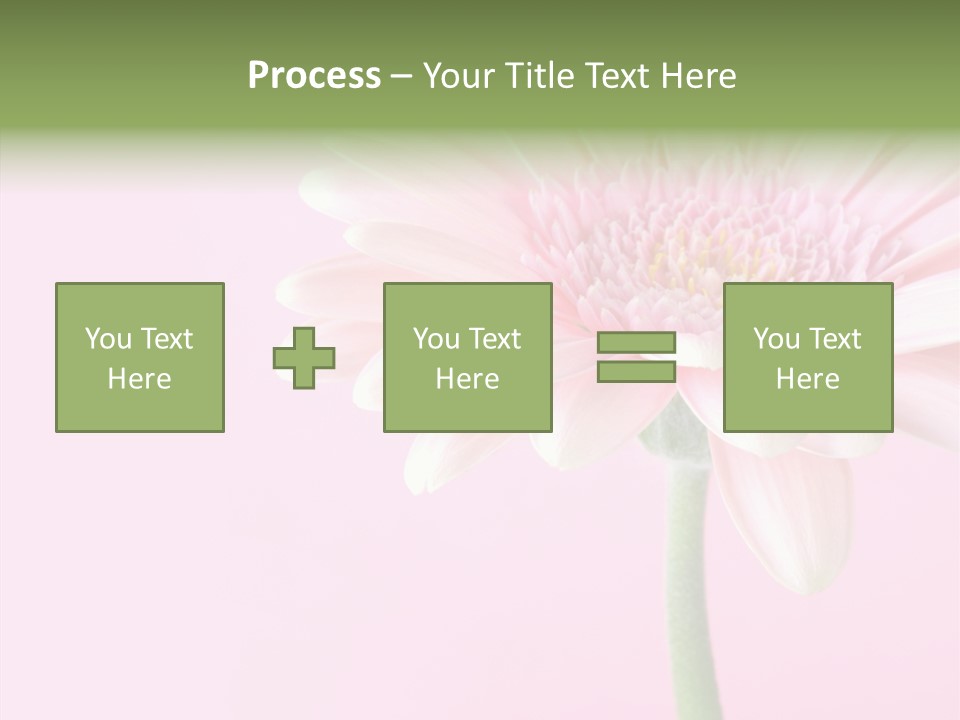 Flower Petals Isolated PowerPoint Template
