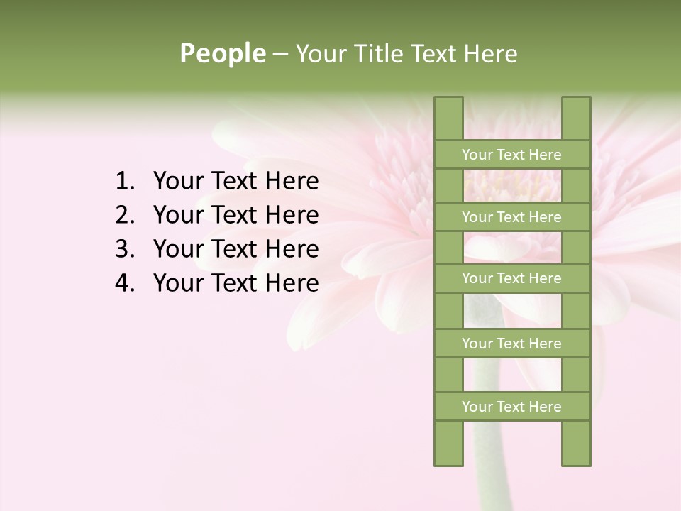 Flower Petals Isolated PowerPoint Template