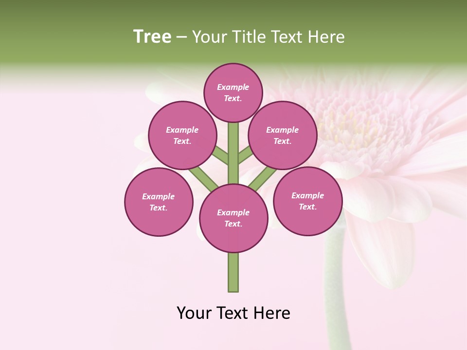 Flower Petals Isolated PowerPoint Template