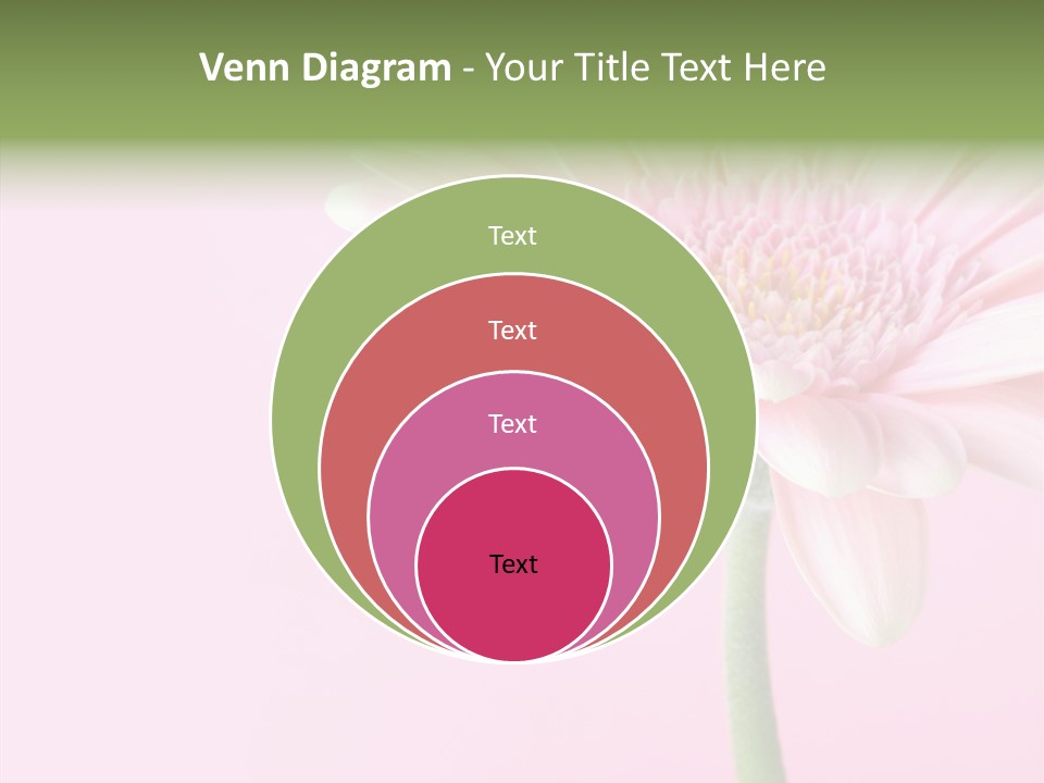 Flower Petals Isolated PowerPoint Template