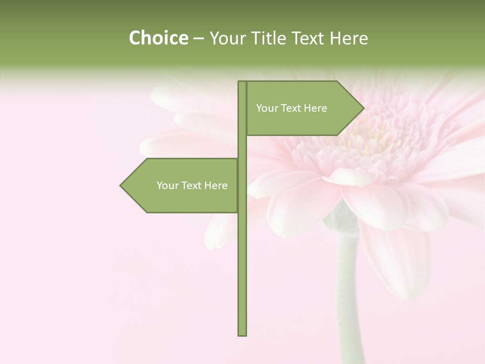 Flower Petals Isolated PowerPoint Template