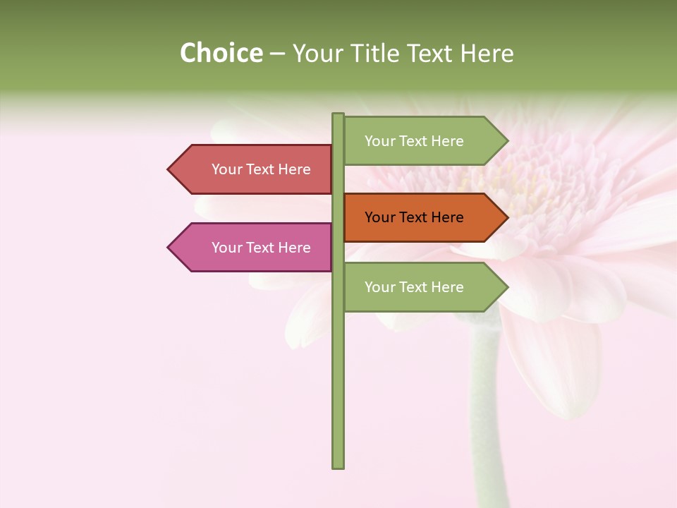 Flower Petals Isolated PowerPoint Template