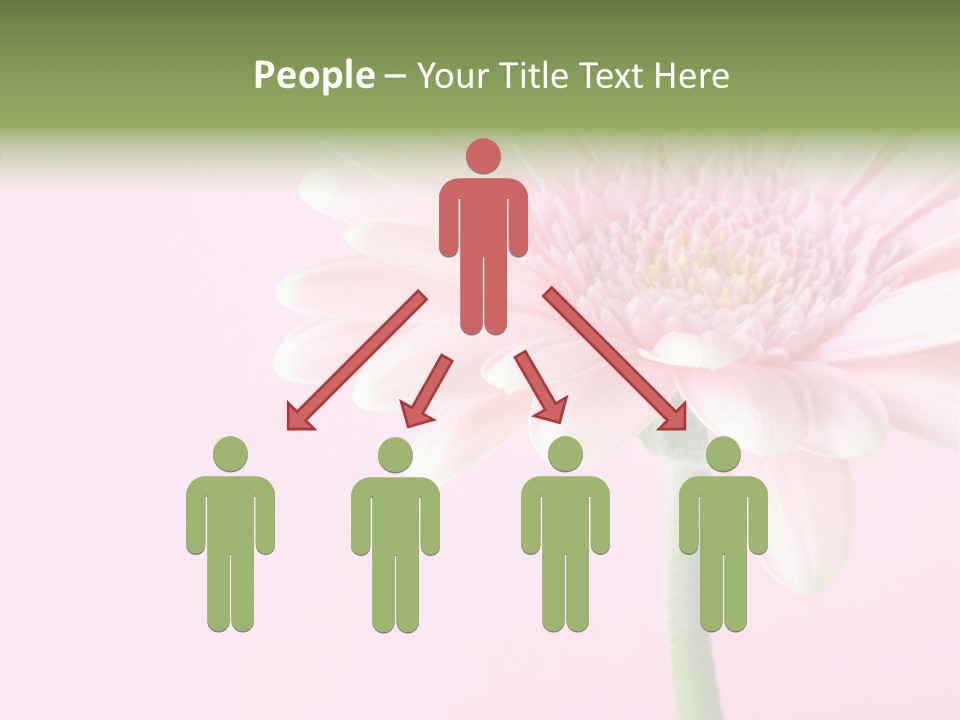 Flower Petals Isolated PowerPoint Template