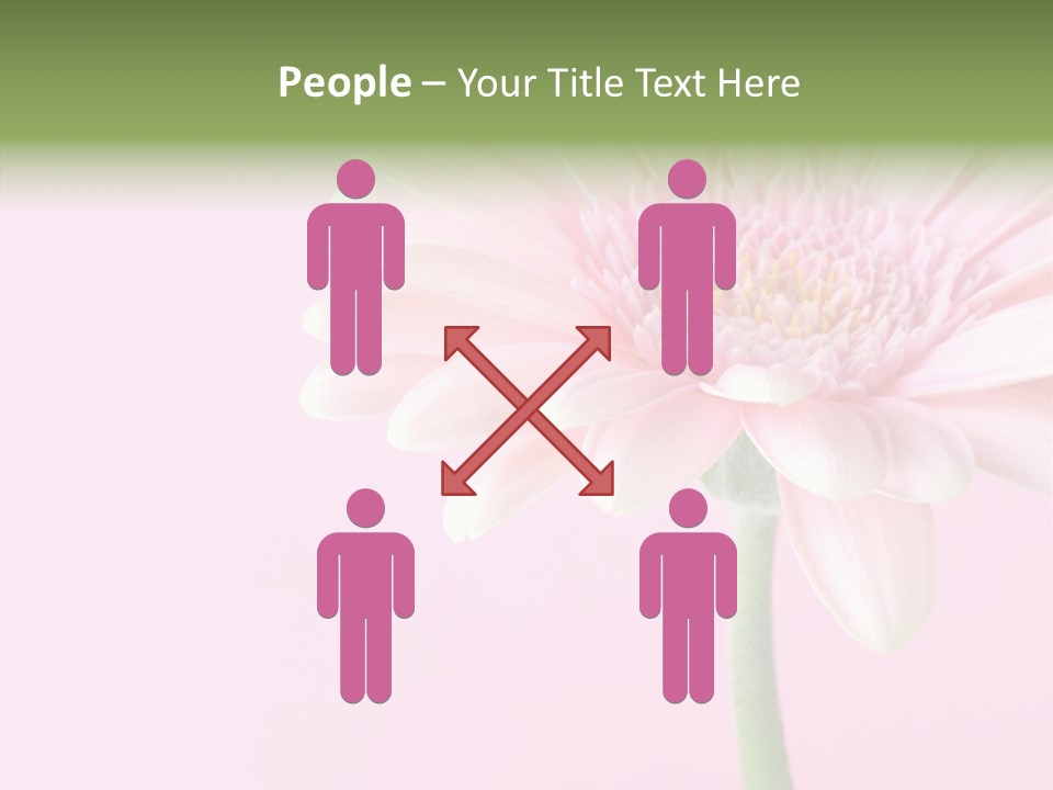 Flower Petals Isolated PowerPoint Template