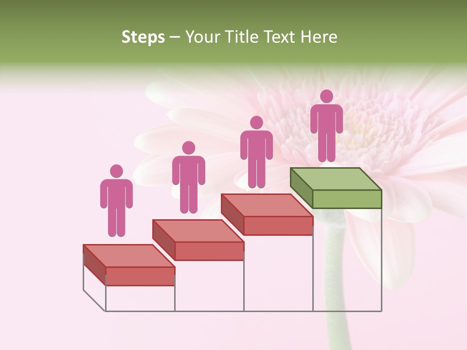 Flower Petals Isolated PowerPoint Template