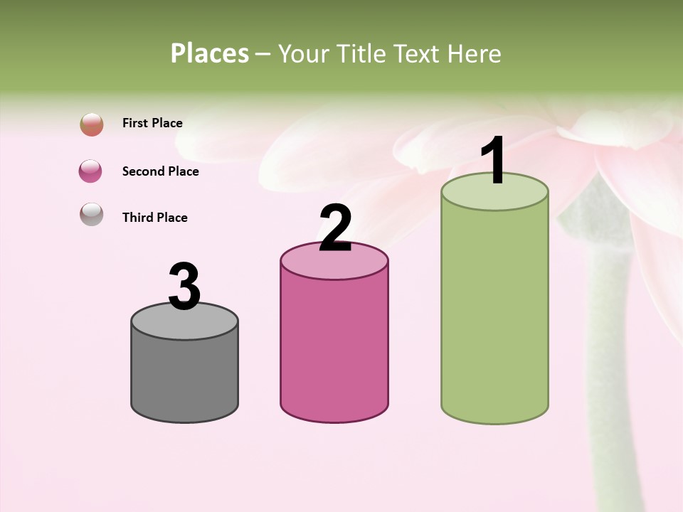 Circle Flower Petals PowerPoint Template