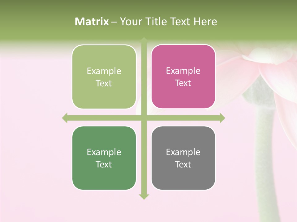 Circle Flower Petals PowerPoint Template