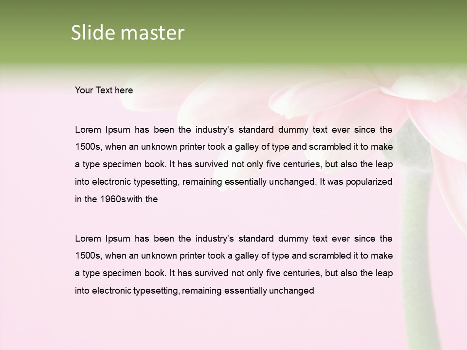 Circle Flower Petals PowerPoint Template