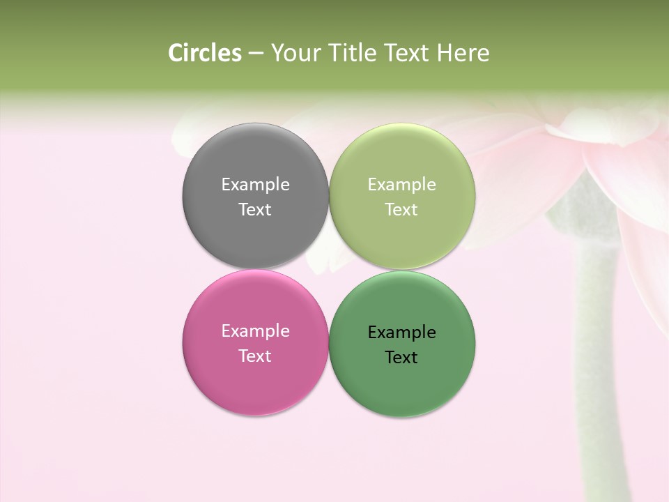 Circle Flower Petals PowerPoint Template