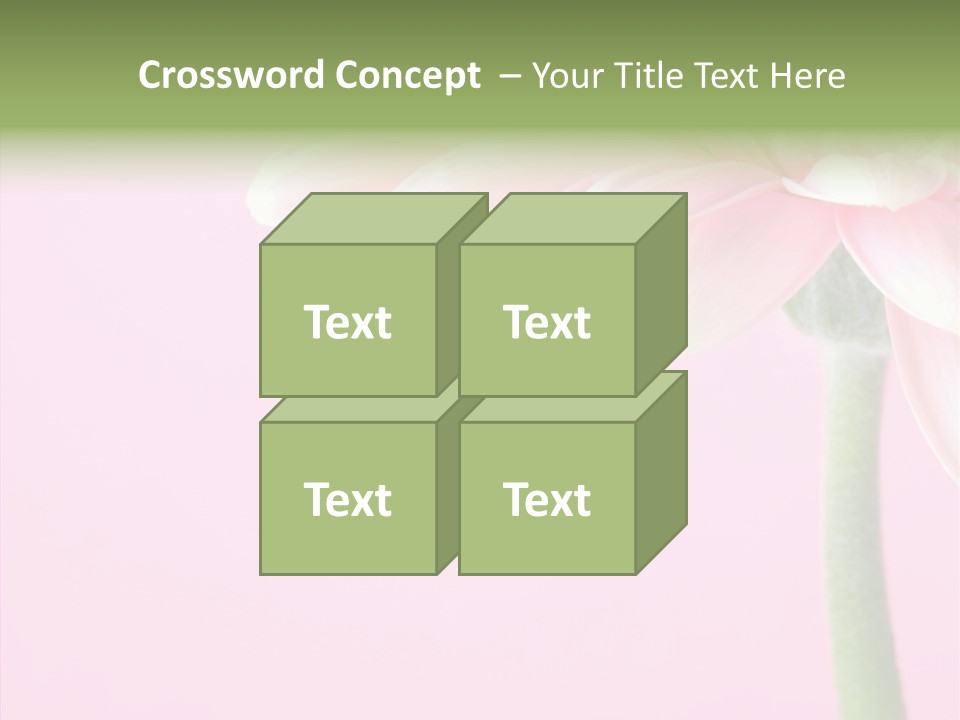 Circle Flower Petals PowerPoint Template