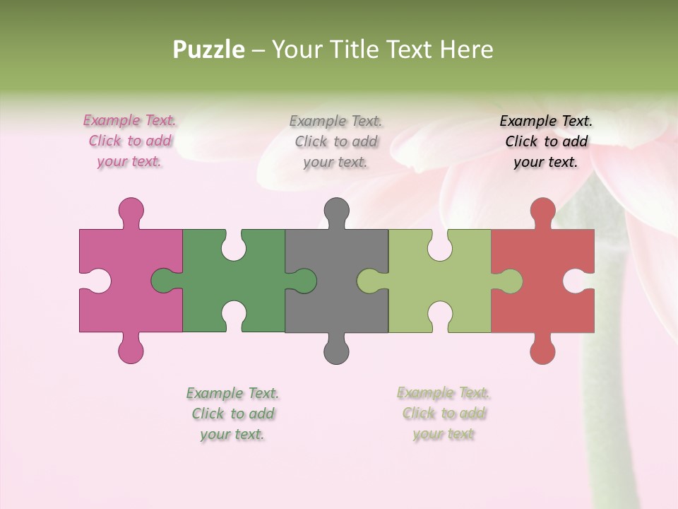 Circle Flower Petals PowerPoint Template