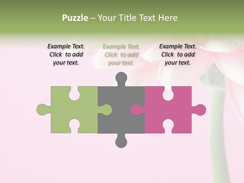 Circle Flower Petals PowerPoint Template