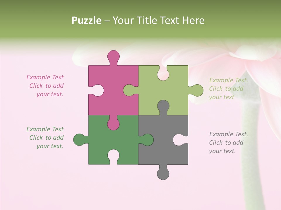 Circle Flower Petals PowerPoint Template