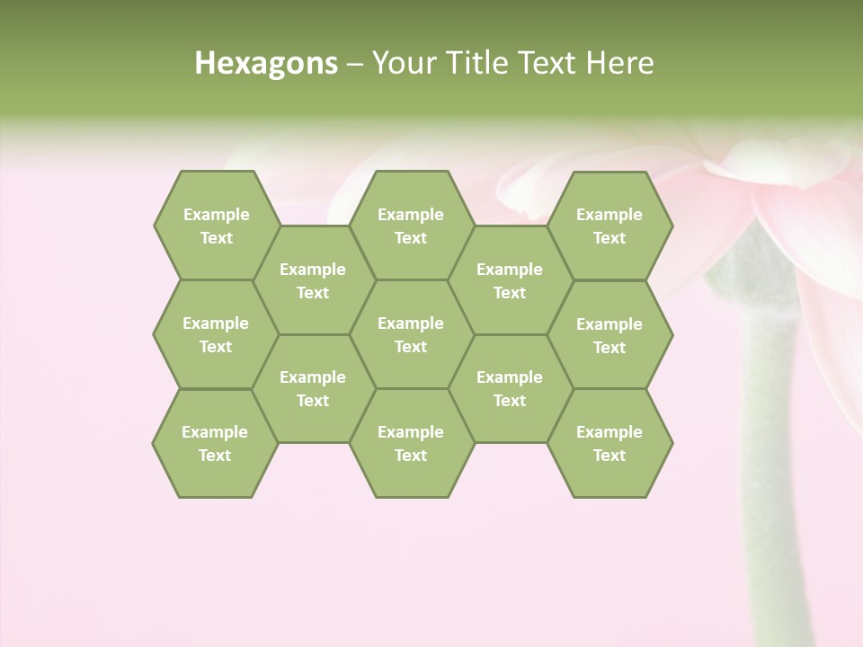 Circle Flower Petals PowerPoint Template