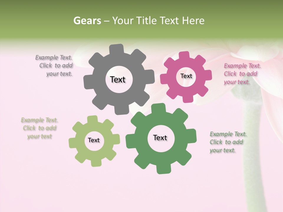 Circle Flower Petals PowerPoint Template