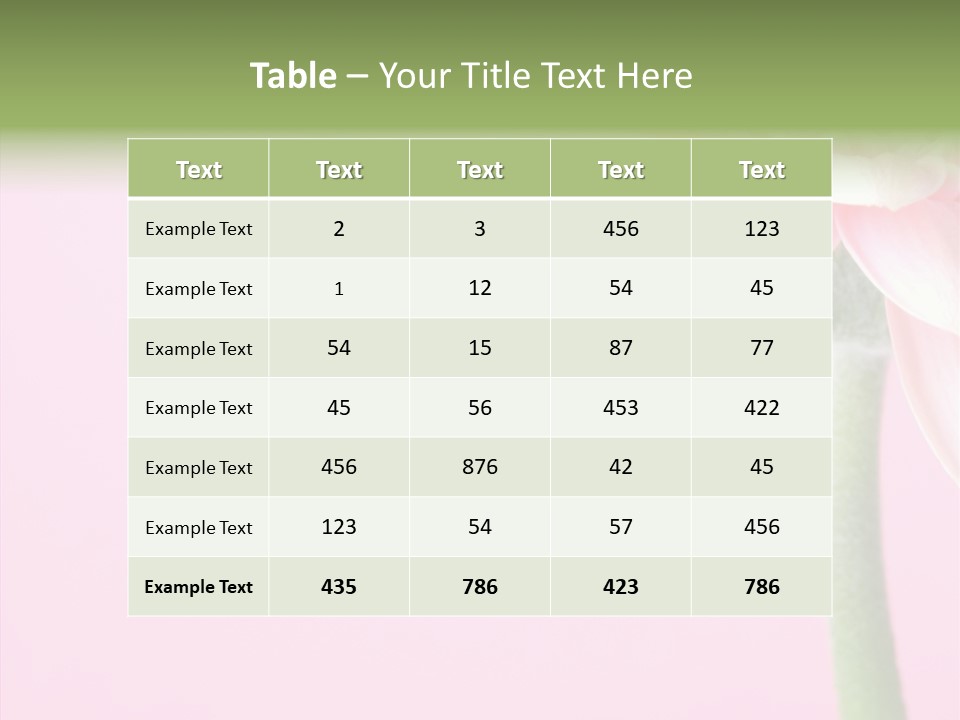 Circle Flower Petals PowerPoint Template