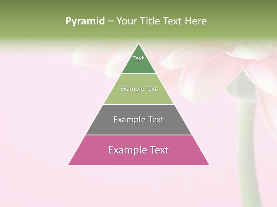 Circle Flower Petals PowerPoint Template