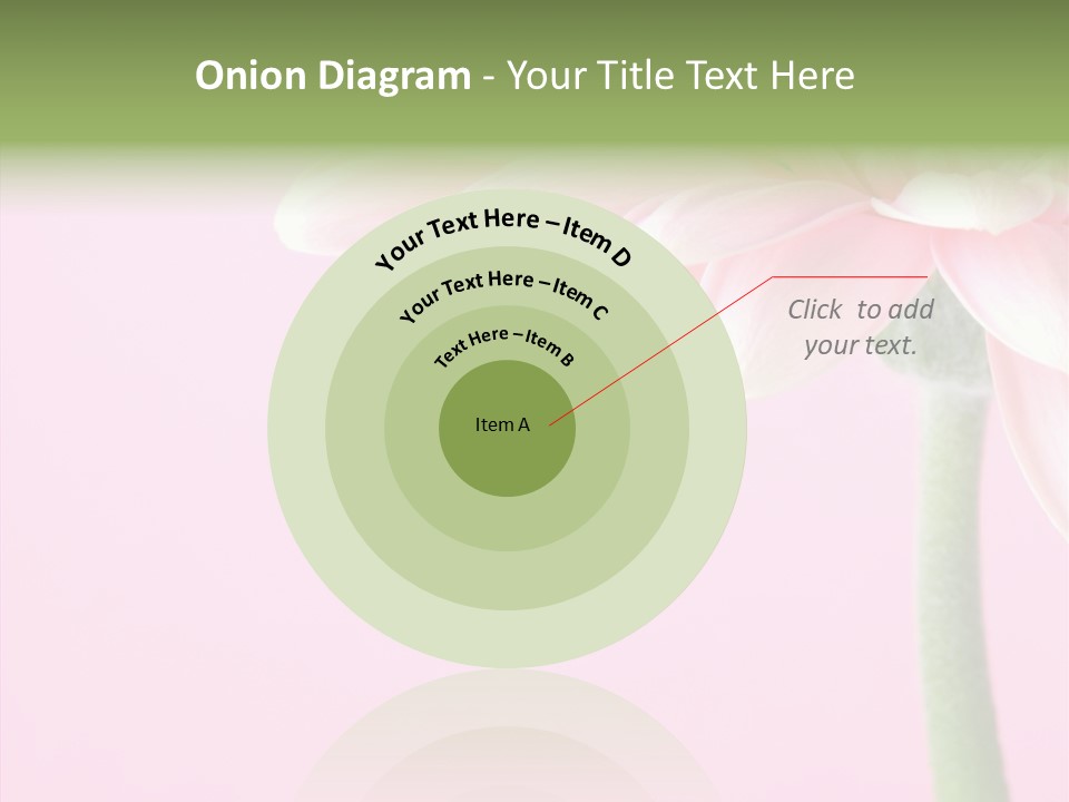 Circle Flower Petals PowerPoint Template
