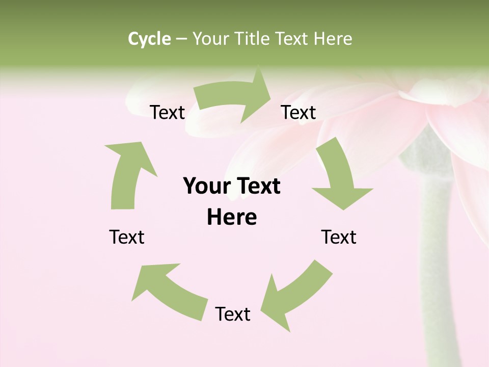 Circle Flower Petals PowerPoint Template