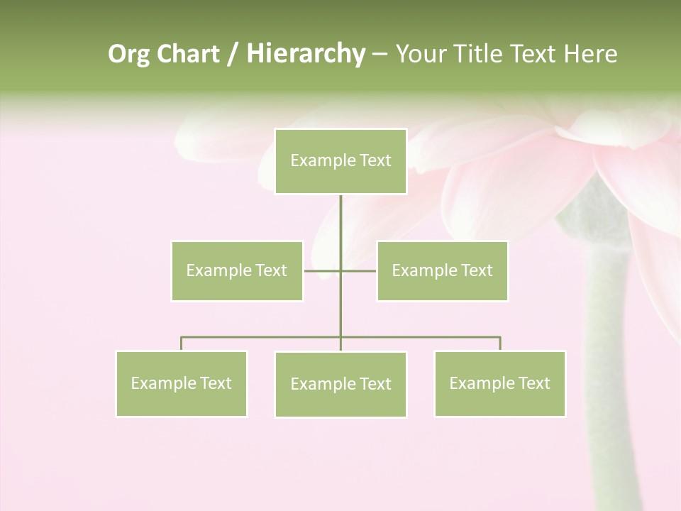 Circle Flower Petals PowerPoint Template