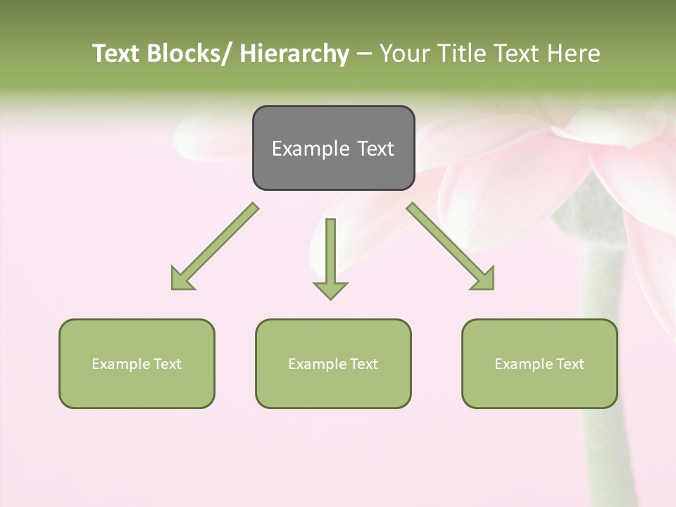 Circle Flower Petals PowerPoint Template