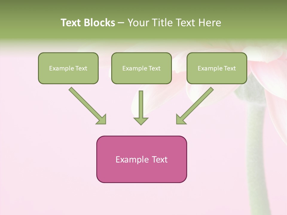 Circle Flower Petals PowerPoint Template