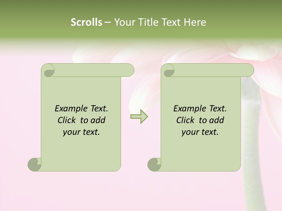 Circle Flower Petals PowerPoint Template