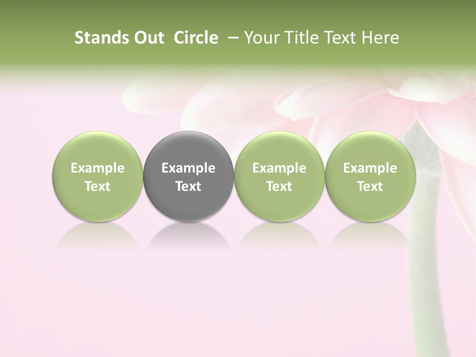 Circle Flower Petals PowerPoint Template