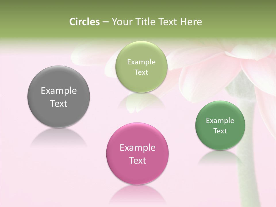 Circle Flower Petals PowerPoint Template