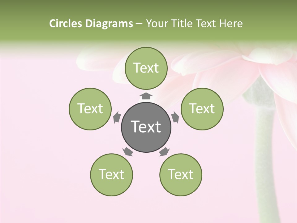 Circle Flower Petals PowerPoint Template