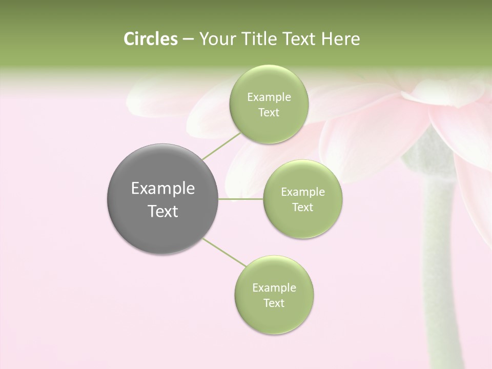 Circle Flower Petals PowerPoint Template