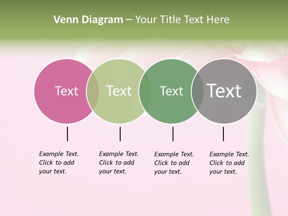 Circle Flower Petals PowerPoint Template