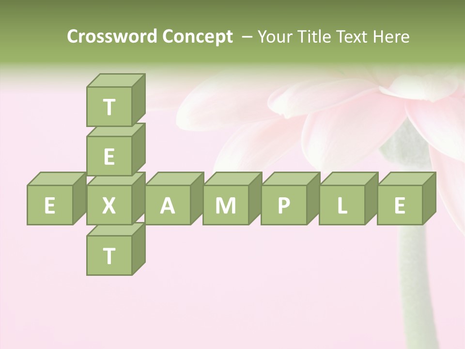 Circle Flower Petals PowerPoint Template